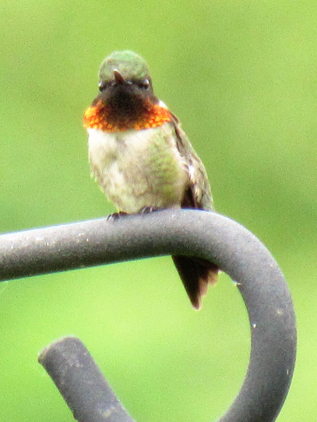 img_8338.jpg